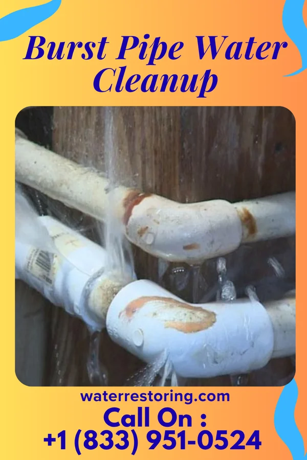 Burst Pipe Water Cleanup in Landingville, PA