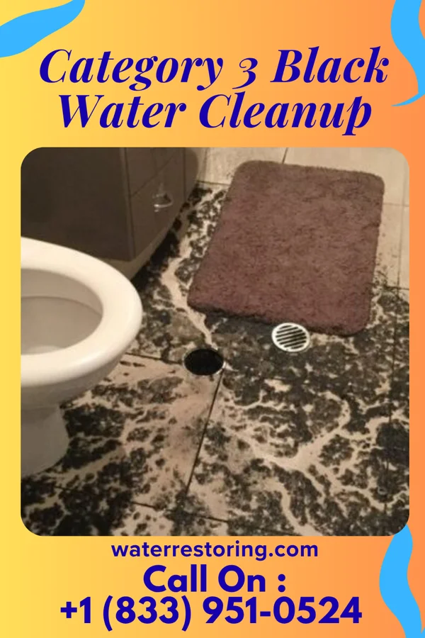 Category 3 Black Water Cleanup in Landingville, PA