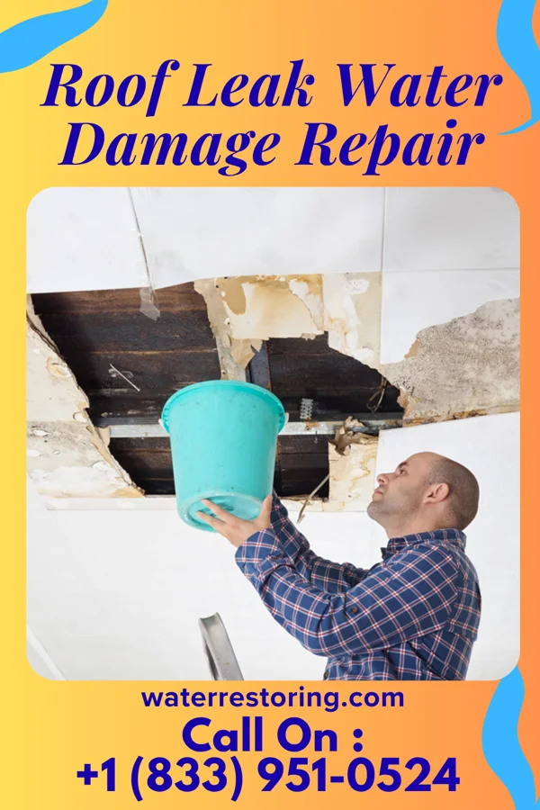 Roof Leak Water Damage Repair in Landingville, PA