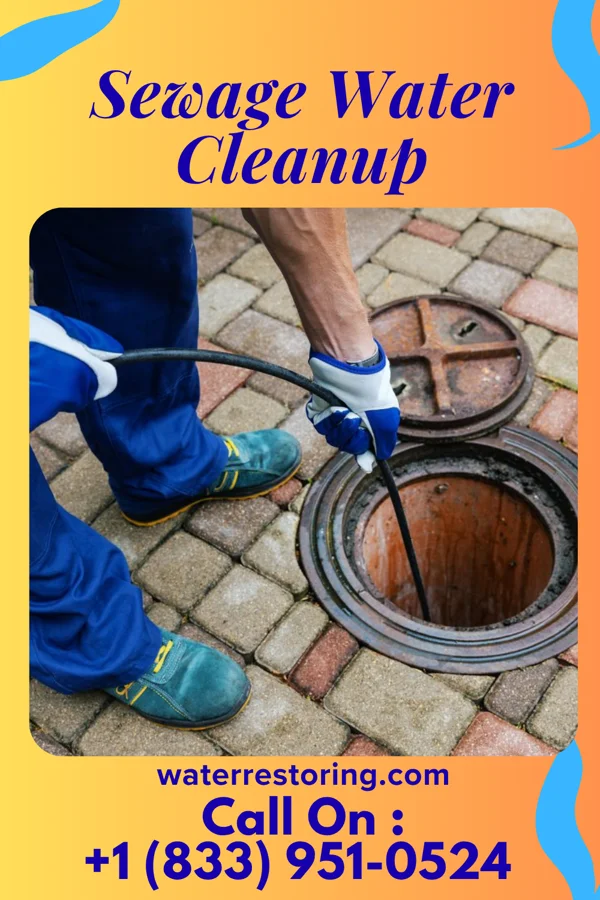 Sewage Water Cleanup in Landingville, PA